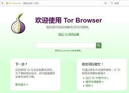 隐私保护：洋葱浏览器能做到完全匿名吗？
