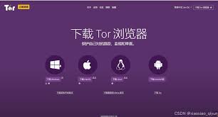 tor浏览器