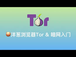 tor浏览器